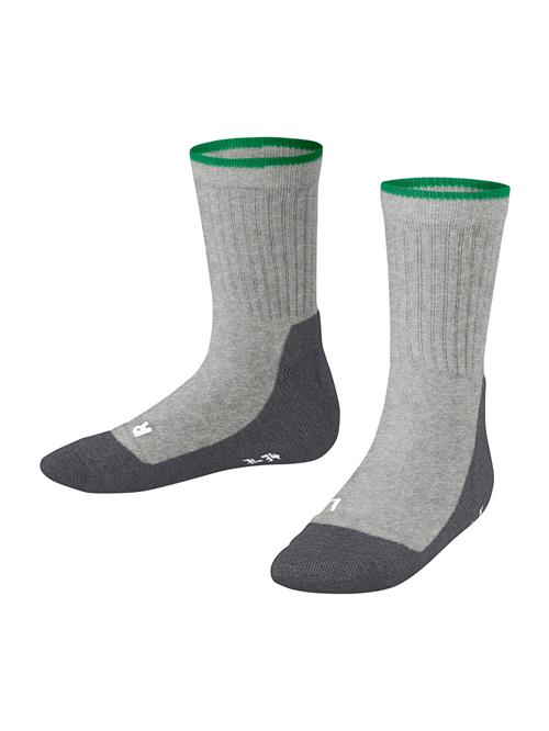 FALKE Sportssokker  grå / antracit / grøn / hvid
