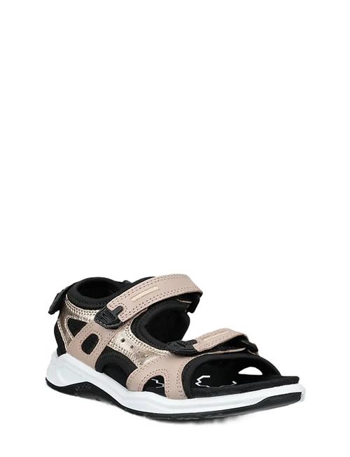 ECCO | X-Trinsic K | 33