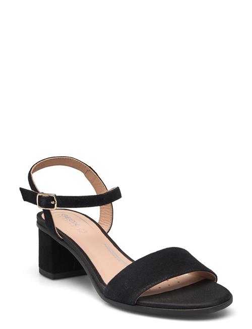 GEOX | D Aurely 50 B | 38