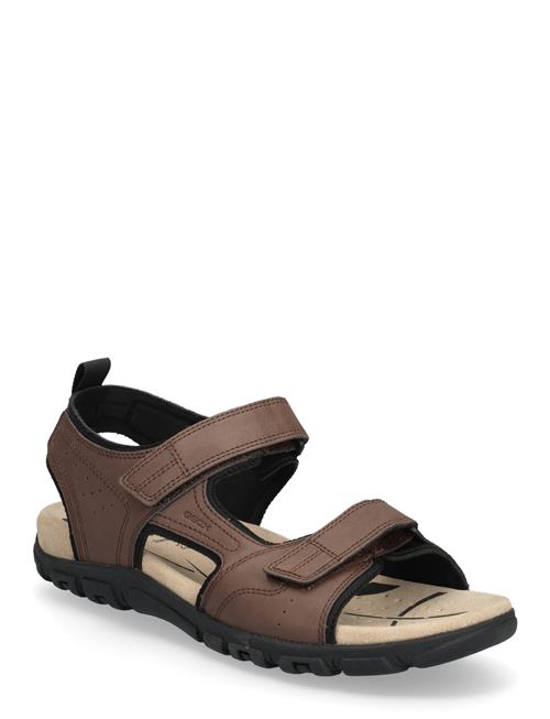 GEOX | Uomo Sandal Strada B | 46