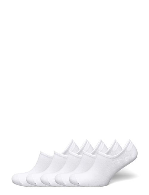 NORVIG | 5-Pack Ladies No Show | 36/40