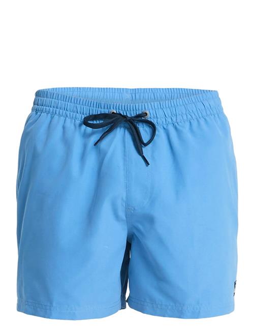 Quiksilver | Everyday Volley 15 | XL