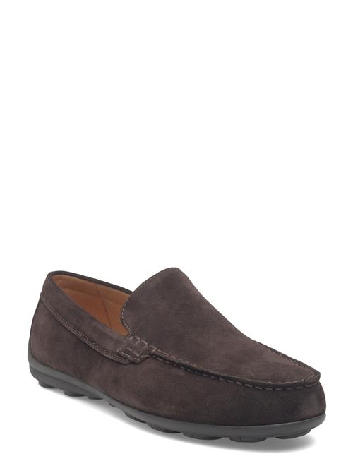 GEOX | U Spherica Ec16 A | 41