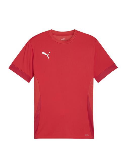 PUMA Funktionsskjorte 'TeamGoal Matchday'  rød / hvid