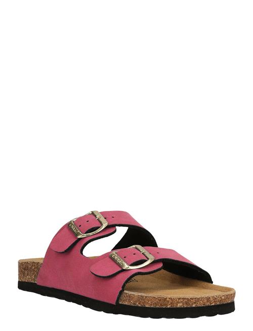 Cruz | Whitehill W Cork Sandal | 40
