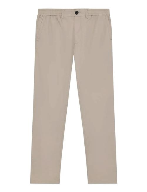 Knowledge Cotton Apparel | Tim Tapered Chino Pants | XL/32