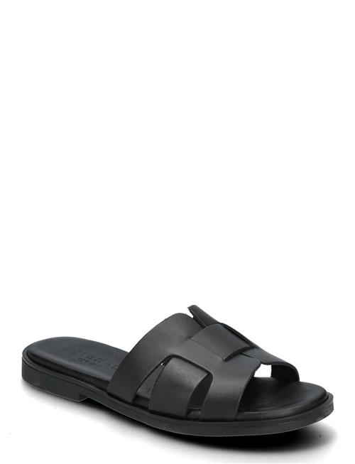 Pavement | Aline | 39