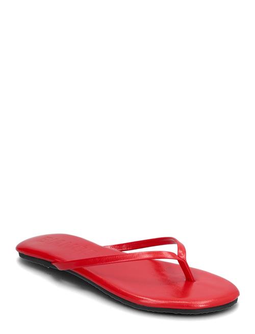 Bianco | Biamexico Flip Flop Faux Leather | 40
