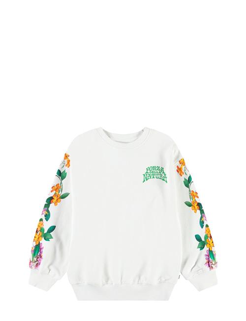 Molo | Monti | 98