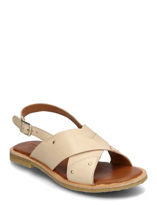 Billi Bi | Trotter | 38