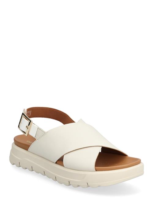 GEOX | D Xand 2.1S E | 40