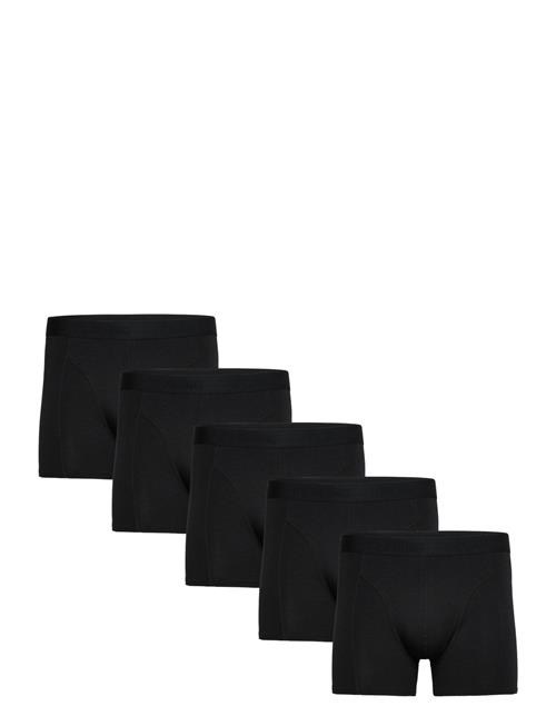 Claudio | Claudio 5-Pack Tights | XL
