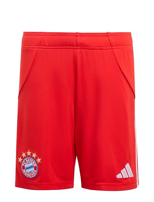 adidas Performance | Fcb H Sho Y | 152
