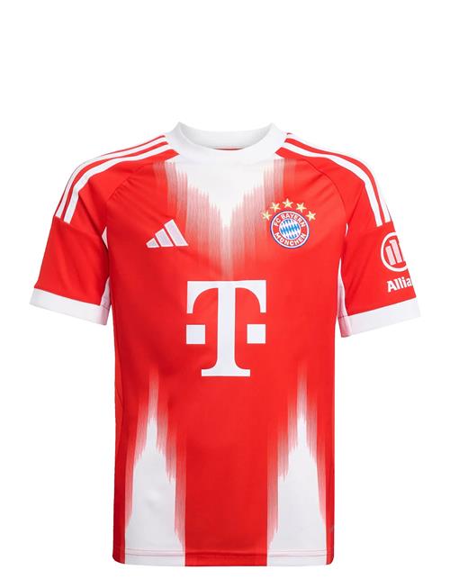 adidas Performance | Fcb H Jsy Y | 128