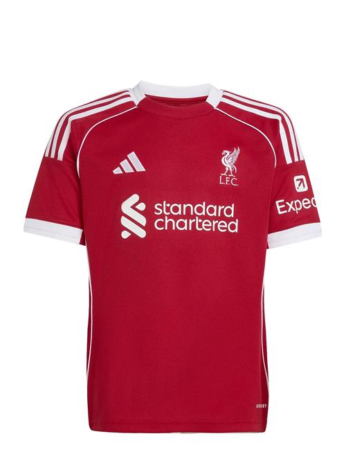 adidas Performance | Lfc H Jsy Y | 164