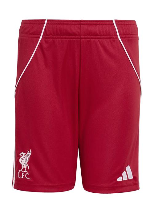 adidas Performance | Lfc H Sho Y | 176