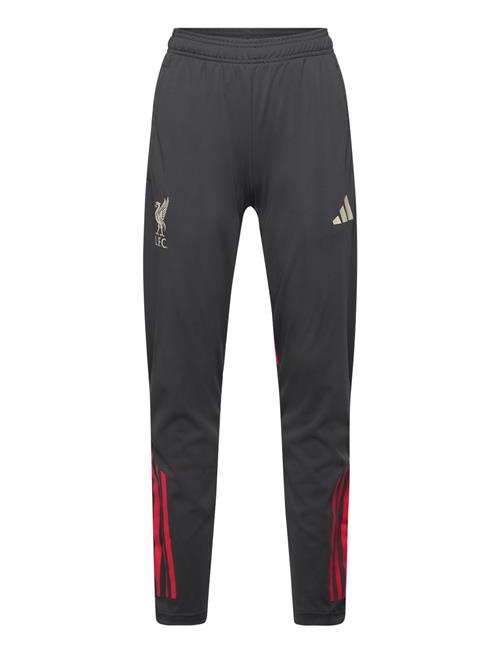 adidas Performance | Lfc Tr Pnt Y | 116