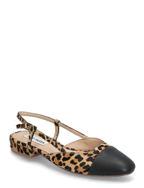 Steve Madden | Belinda-L Ballerina | 38