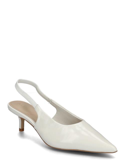 ALDO | Oceweth | 38