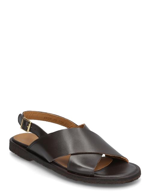 ANGULUS | Sandals - Flat  - Open Toe - Op | 36