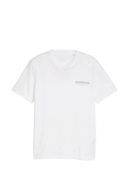 Tom Tailor | Printed T-Shirt | XL