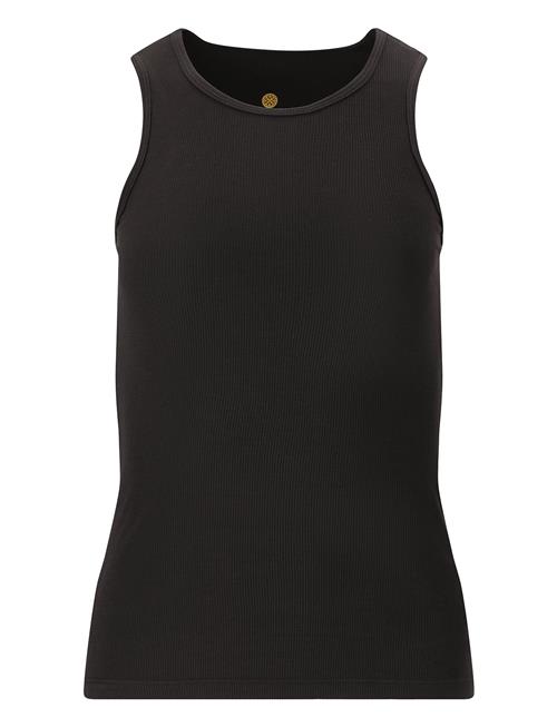 Athlecia | Tinashe W Halterneck Rib Top | 42