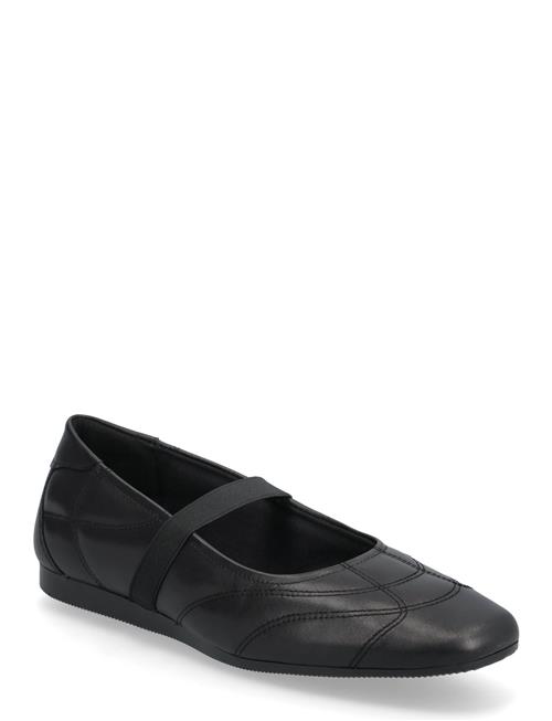 VAGABOND | Hillary | 40