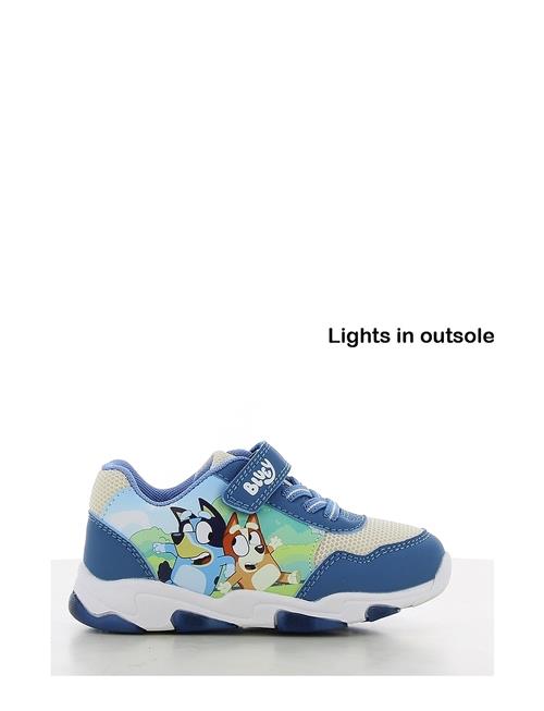 Leomil | Bluey Sneakers | 30