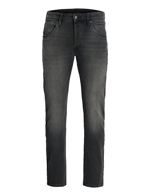 Jack & Jones | Jjimike Jjfox  I.k Sq 426 Noos | 30 x 32