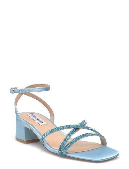 Steve Madden | Gabby | 40