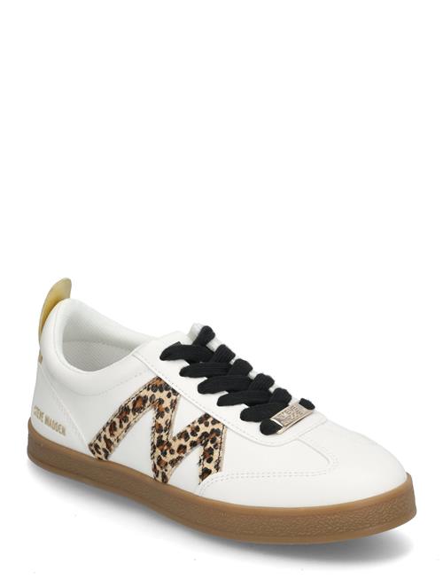Steve Madden | Degree | 42