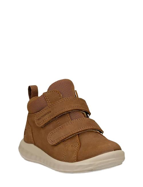 ECCO | Sp.1 Lite Infant | 19