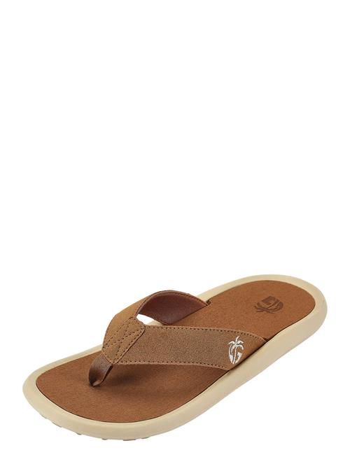 Gumbies | Noosa | 37