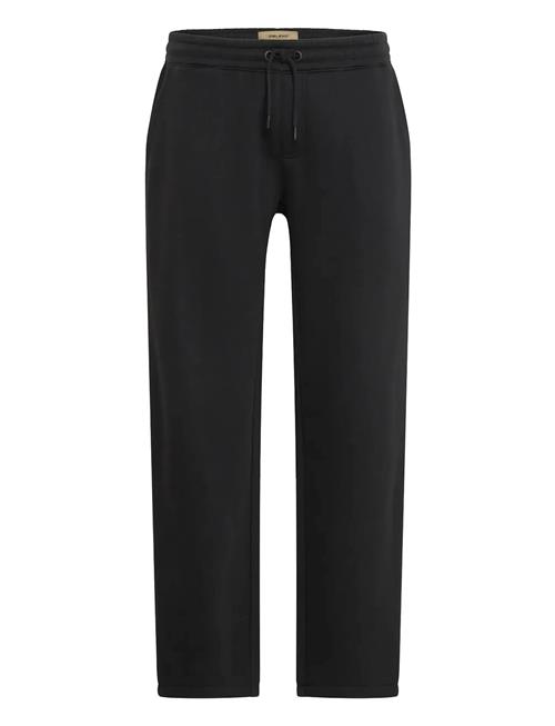 Blend | Bhdownton Straight Leg Pants | L