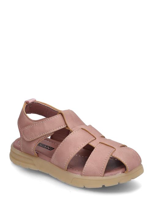 Exani | Orust K | 29