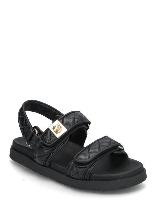 Steve Madden | Mona-Q | 40