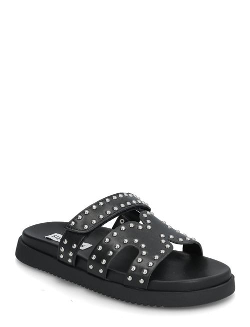 Steve Madden | Missile-S | 38