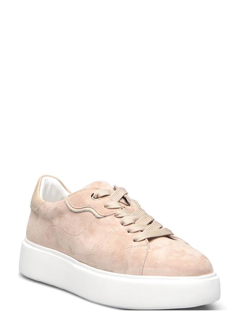 Dasia | Ardisia | 39