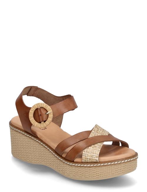 Dasia | Flora | 41