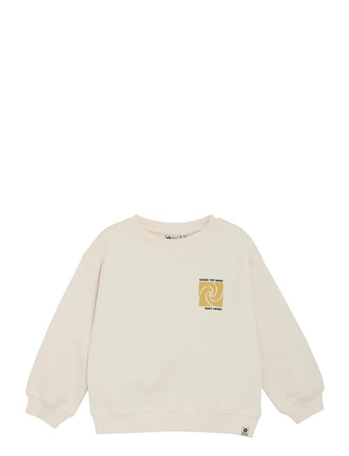 Daily 7 | Oversized Sweater Backprint | 116