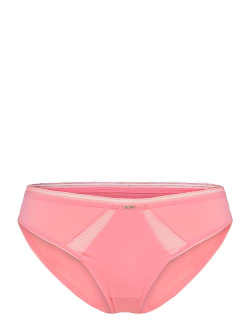 BOSS | Brief_B.pure | XL