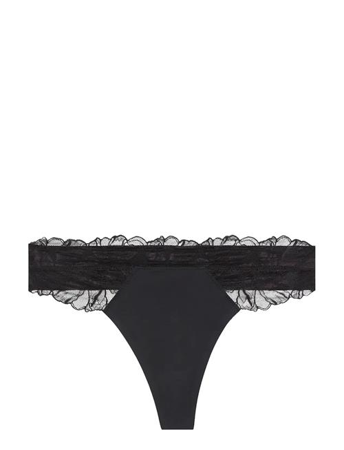 Calvin Klein | Thong | XL