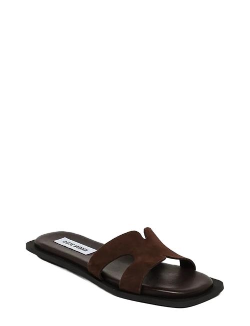 Steve Madden | Sofia | 38
