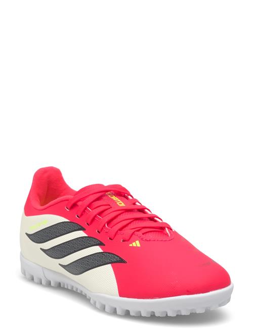 adidas Performance | Predator Club Tf J | 36