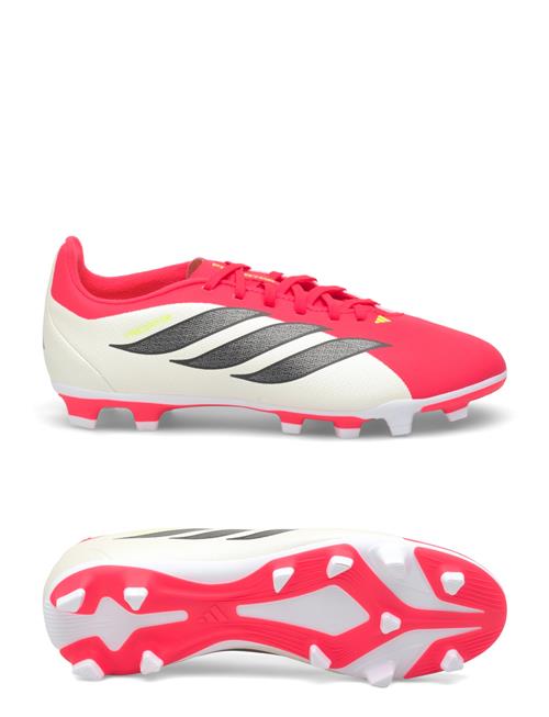 adidas Performance | Predator Club Fg/Mg J | 38 2/3