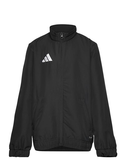 adidas Performance | Ent26 Prejkty | 116