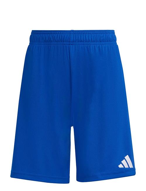 adidas Performance | Ent26 Sho Y | 140