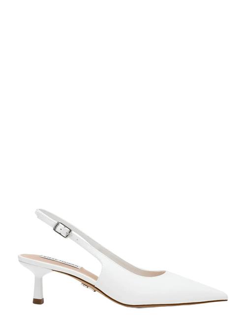 Steve Madden | Korra | 41