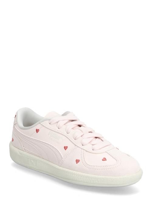 PUMA | Palermo Amor Jr | 38