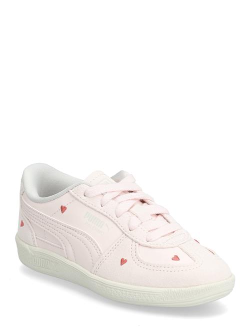 PUMA | Palermo Amor Ps | 35